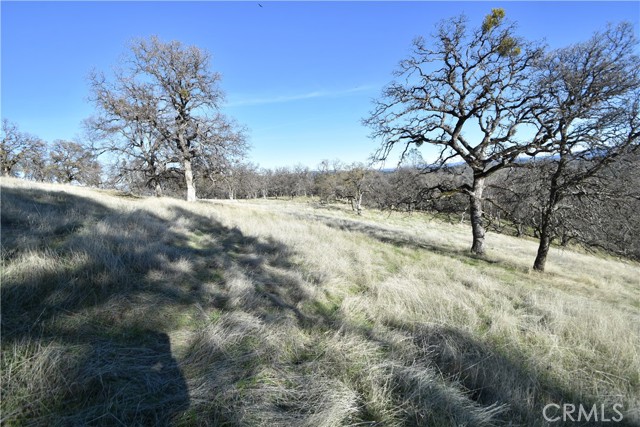 Detail Gallery Image 14 of 60 For 1193 Oregon Gulch Rd, Oroville,  CA 95965 - – Beds | – Baths