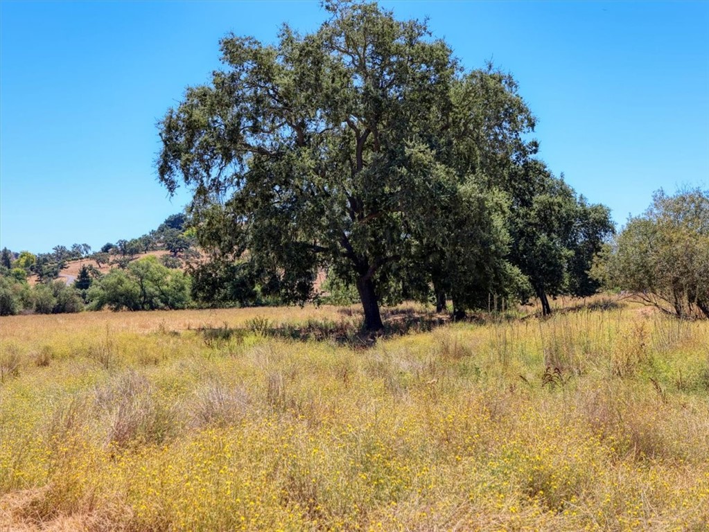 Detail Gallery Image 56 of 71 For 5720 Huasna Townsite Rd, Arroyo Grande,  CA 93420 - 6 Beds | 3/2 Baths