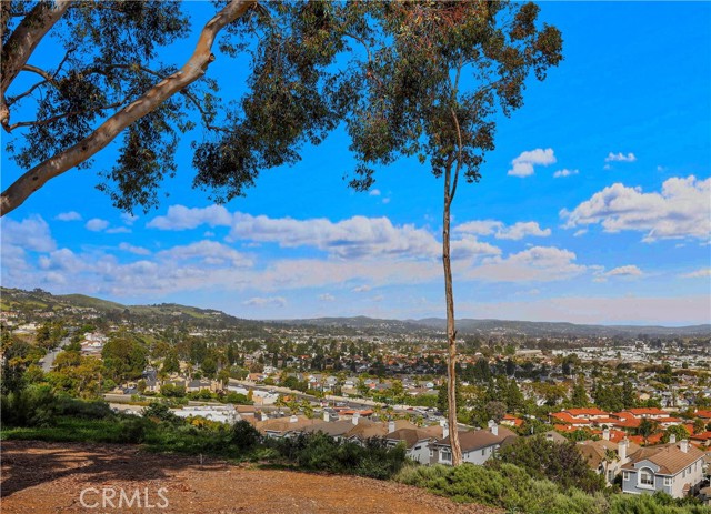 Detail Gallery Image 67 of 74 For 16 Lapis Avenue, Dana Point,  CA 92629 - 5 Beds | 5/1 Baths