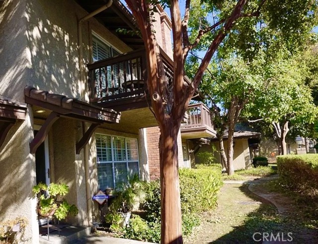 Front Image Thumbnail for CRDW25259360