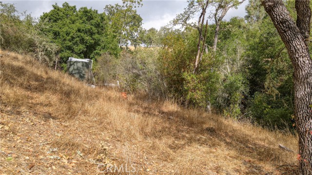 Detail Gallery Image 15 of 20 For 19760 El Camino Real, Atascadero,  CA 93422 - – Beds | – Baths