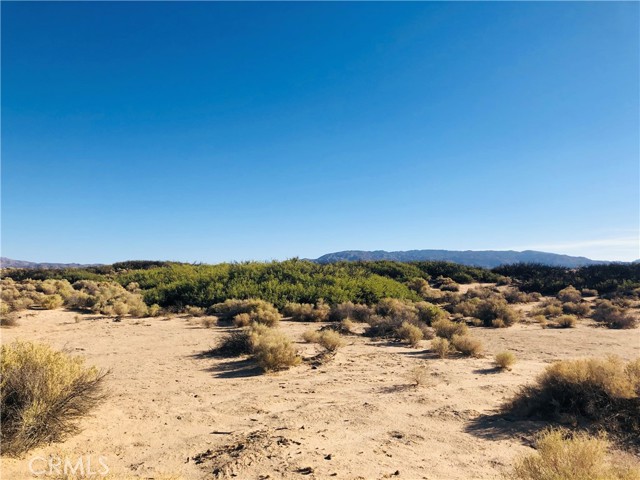 Detail Gallery Image 11 of 14 For 0 E of Mesquite Spr Rd, Twentynine Palms,  CA 92277 - – Beds | – Baths