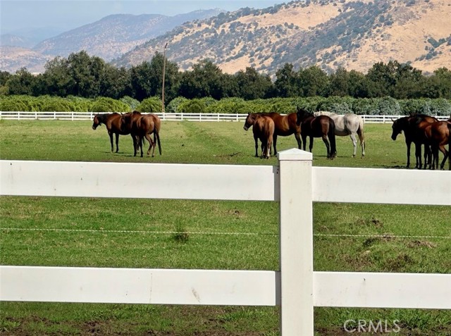 Front Image Thumbnail for CRFR26031889