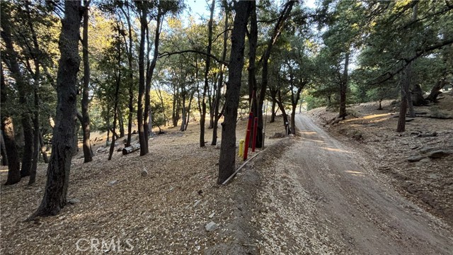 Front Image Thumbnail for CRHD25230102