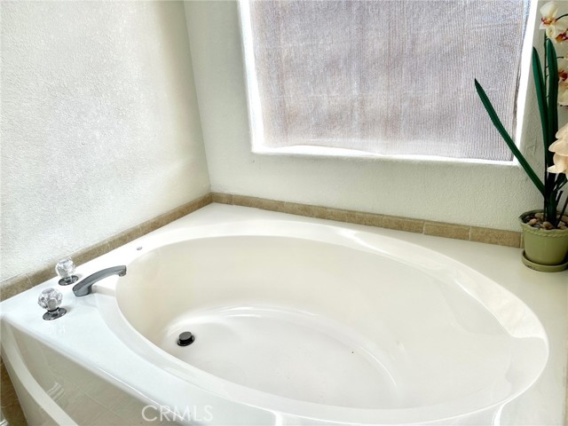 Primary Suite Soaker Tub