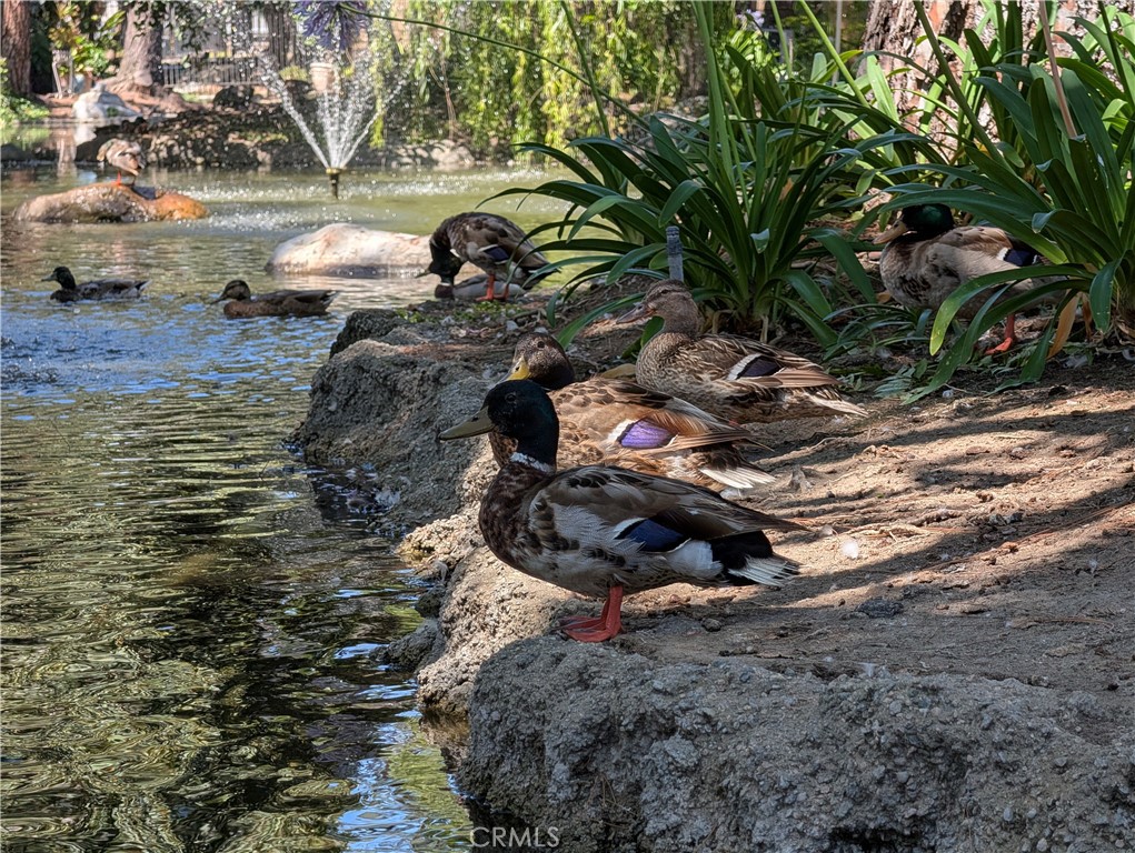 https://media.crmls.org/medias/bfd07237-90d2-4b24-b895-35e69ba7766c.jpg?preset=X-Large