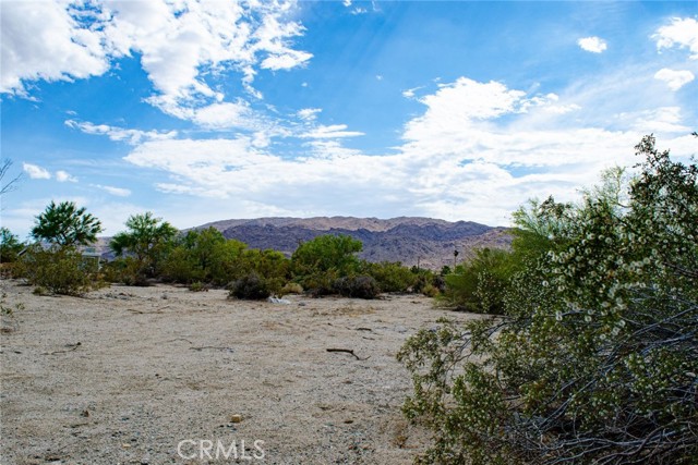 Detail Gallery Image 4 of 8 For 74908 Baseline Rd, Twentynine Palms,  CA 92277 - – Beds | – Baths