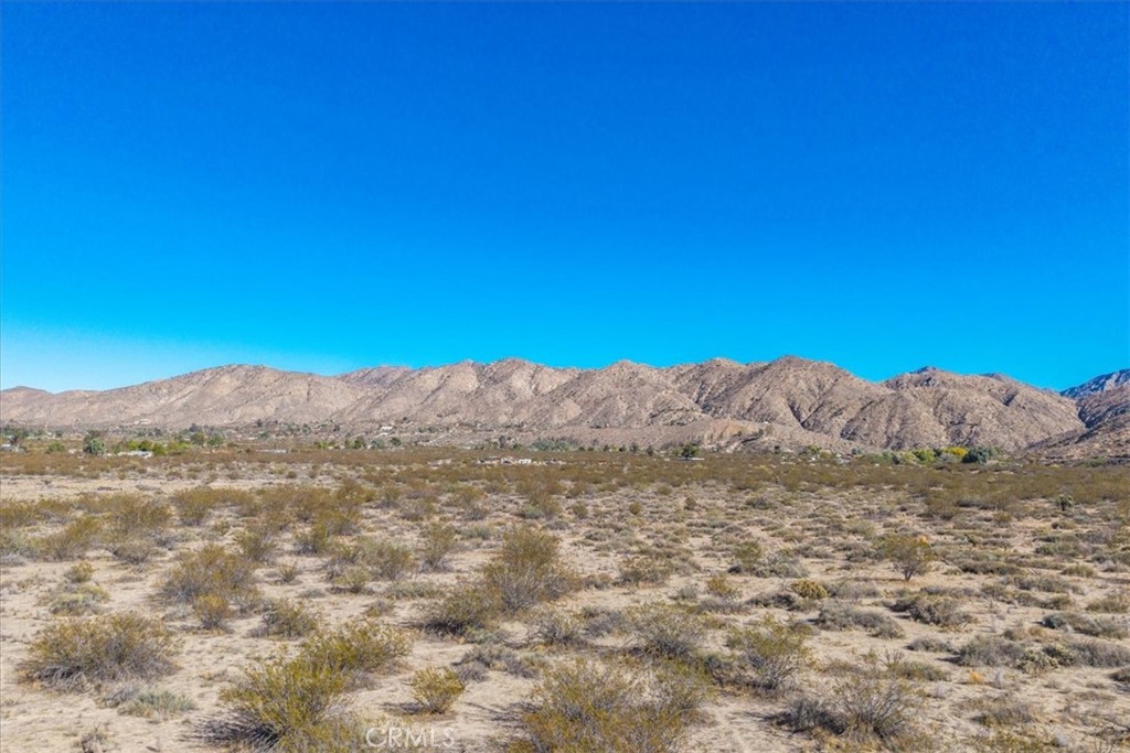 MLS #JT25257791 image #17