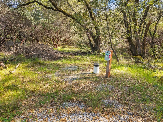 Front Image Thumbnail for CRSW26052342