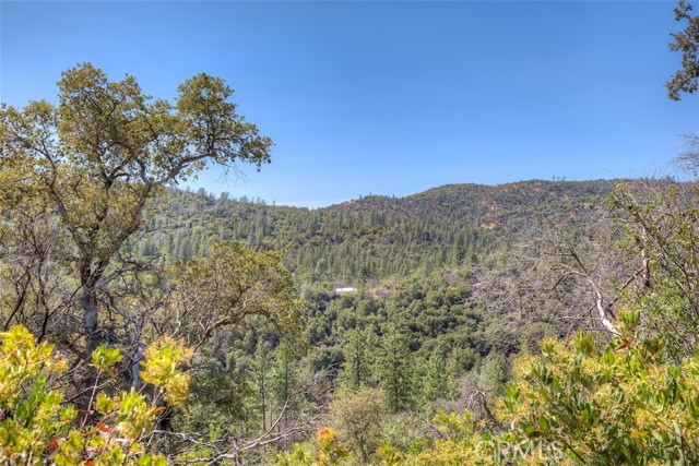 Detail Gallery Image 29 of 34 For 8870 Oro Quincy, Berry Creek,  CA 95916 - – Beds | – Baths