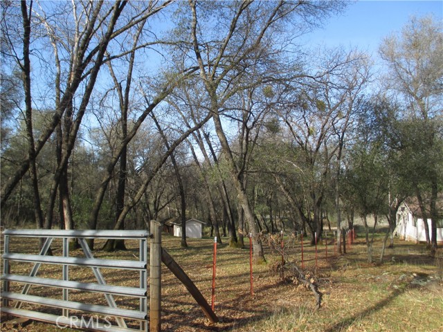 15 Hide A Way Road, Oroville CA: https://media.crmls.org/medias/bff1464c-355e-4df0-a76d-815518878acb.jpg