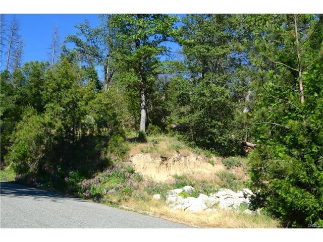 50 Dogwood Creek, Bass Lake, CA, 93604 50 Dogwood Creek, Bass Lake, CA, 93604