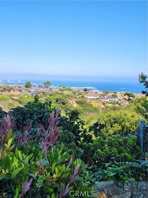 2817 San Ramon Drive, Rancho Palos Verdes CA: https://media.crmls.org/medias/bff9e2bb-68d1-4275-950e-d1ac0be9792b.jpg