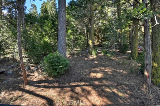 Detail Gallery Image 35 of 35 For 24607 Altdorf Dr, Crestline,  CA 92325 - 3 Beds | 2 Baths