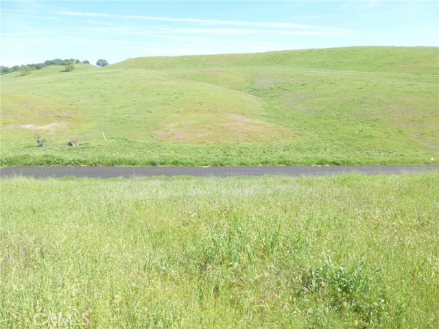 Detail Gallery Image 2 of 44 For 0 Douglas Rd. (Lot 34), San Miguel,  CA 93451 - – Beds | – Baths