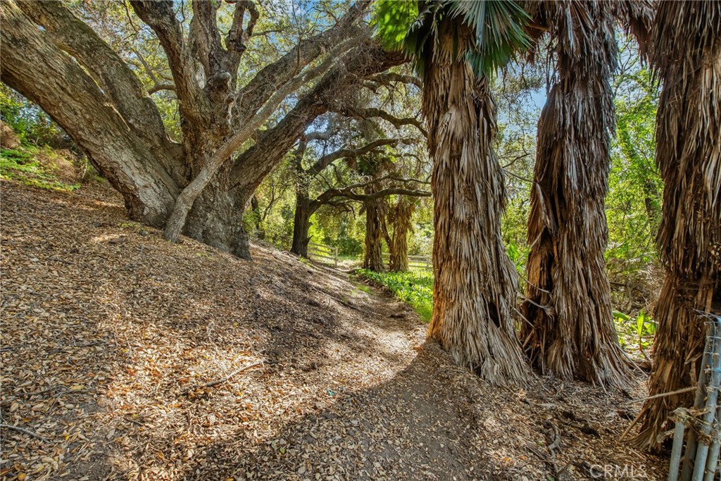 https://media.crmls.org/medias/c007d9d1-4b87-43e0-a6aa-a9a58f93833c.jpg?preset=X-Large
