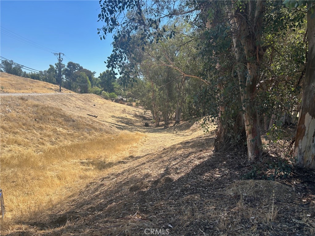 MLS #IG25168758 image #3