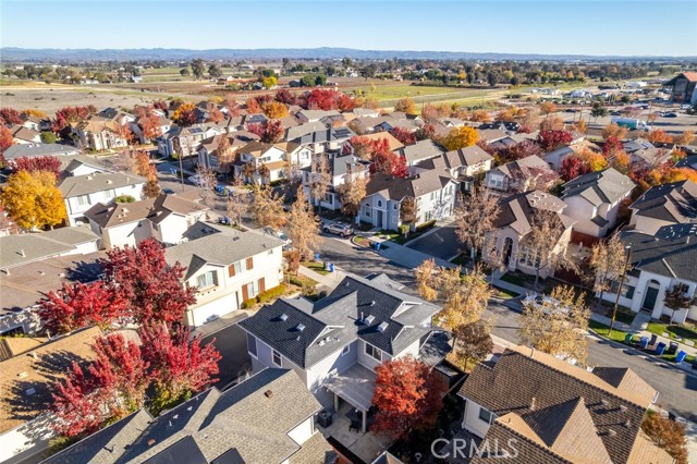 Detail Gallery Image 47 of 50 For 2823 Cottage Ln, Paso Robles,  CA 93446 - 3 Beds | 2/1 Baths