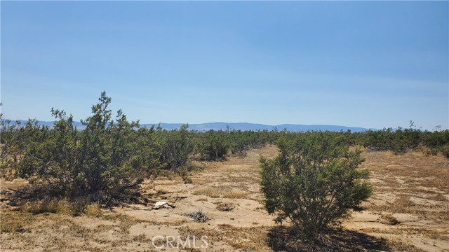 0 Budlong Ave & 114th St West, Rosamond, California 93560, ,Land,For Sale,0 Budlong Ave & 114th St West,CRSR23171065