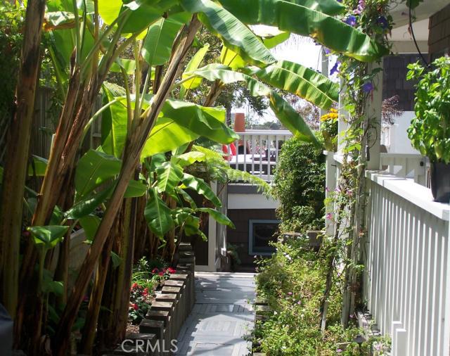 Garden Walk. Landscaped with Plantain Trees.