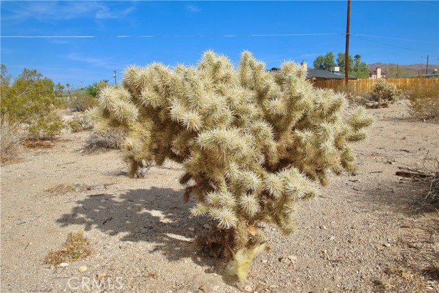 Detail Gallery Image 13 of 22 For 7535 Kellogg Ave, Twentynine Palms,  CA 92277 - – Beds | – Baths