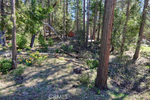 Detail Gallery Image 31 of 41 For 2580 River, Wawona,  CA 95389 - 2 Beds | 2 Baths