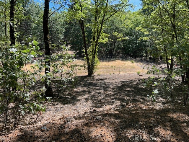 looking down at fenced garden