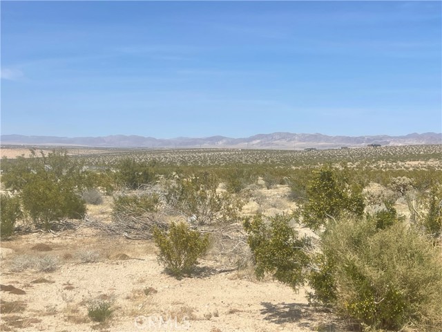 Detail Gallery Image 3 of 3 For 0 29 Palms Hwy, Twentynine Palms,  CA 92277 - – Beds | – Baths