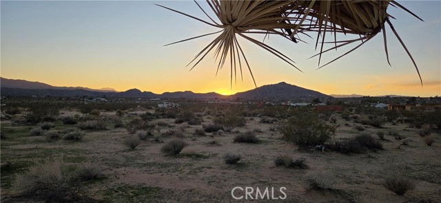 Detail Gallery Image 3 of 6 For 0 Campanula St, Joshua Tree,  CA 92252 - – Beds | – Baths