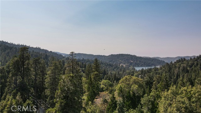 Detail Gallery Image 40 of 48 For 24941 Faulhorn Dr, Crestline,  CA 92325 - 3 Beds | 1/1 Baths
