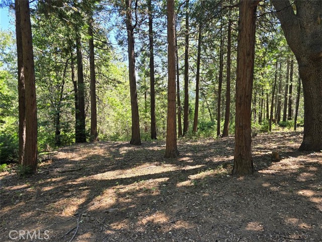 0 Lovers Lane, Cedarpines Park CA: https://media.crmls.org/medias/c02f6458-d07f-4c8d-99ae-4e122932542c.jpg
