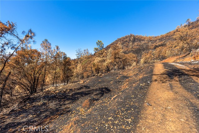 0 Oregon Gulch Road, Oroville, California 95965, ,Land,For Sale,0 Oregon Gulch Road,CRSN24012947