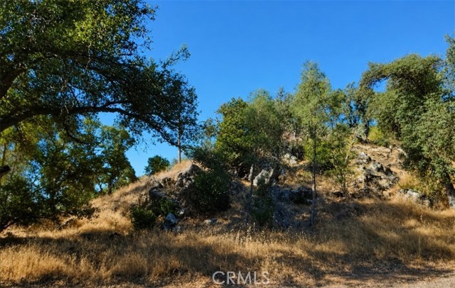 Front Image Thumbnail for CRLC26175418