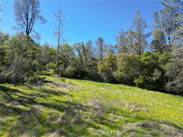 Detail Gallery Image 3 of 14 For 0 Hidden Mine Rd, Oroville,  CA 95965 - – Beds | – Baths