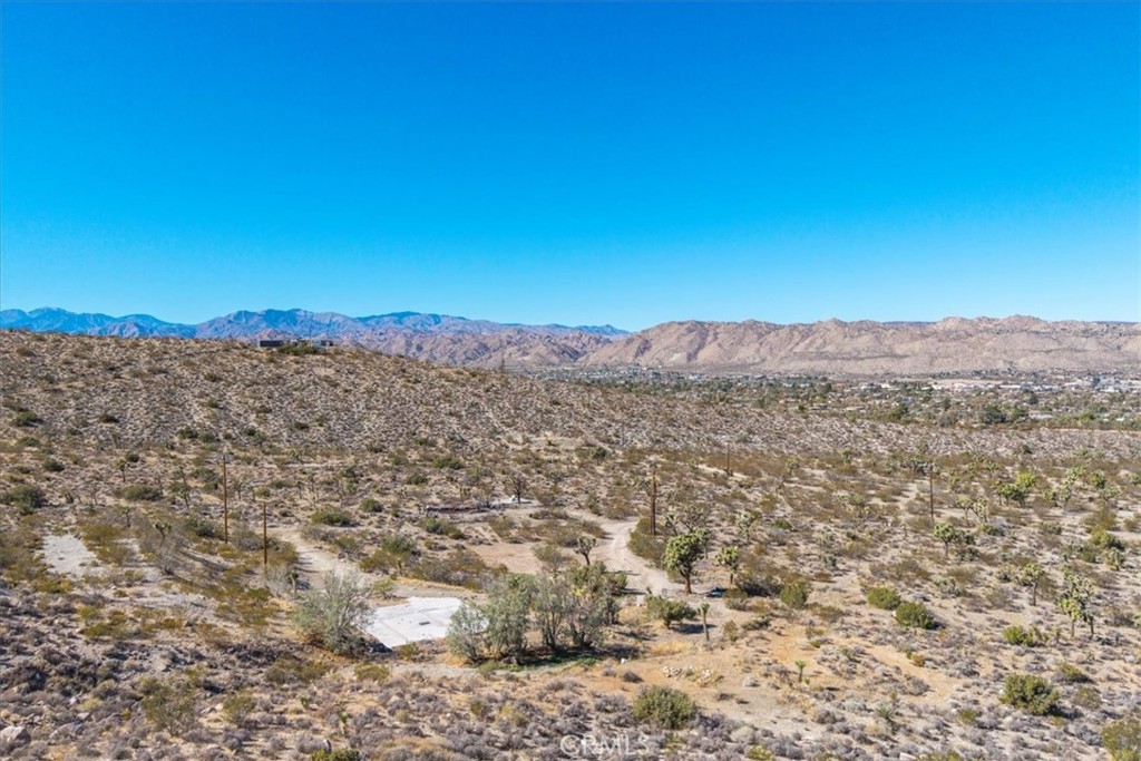 MLS #JT25259485 image #5