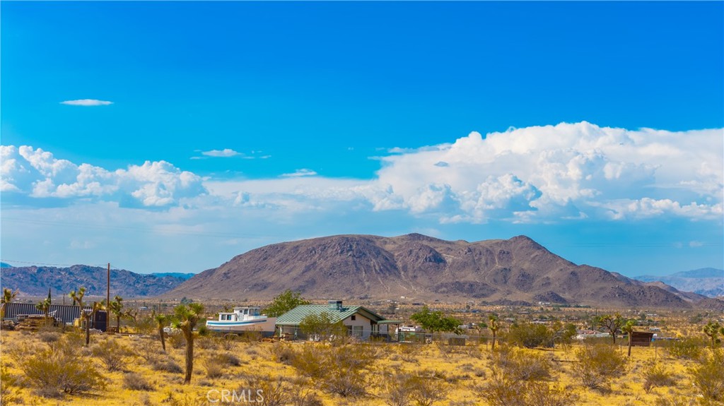 MLS #JT25139661 image #3