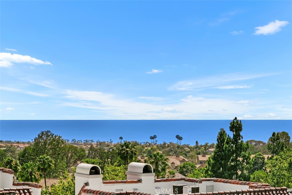 50 Los Cabos