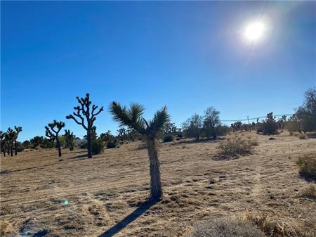 57031 Buena Vista Drive, Yucca Valley, California 92284, ,Land,For Sale,57031 Buena Vista Drive,CRJT23214315