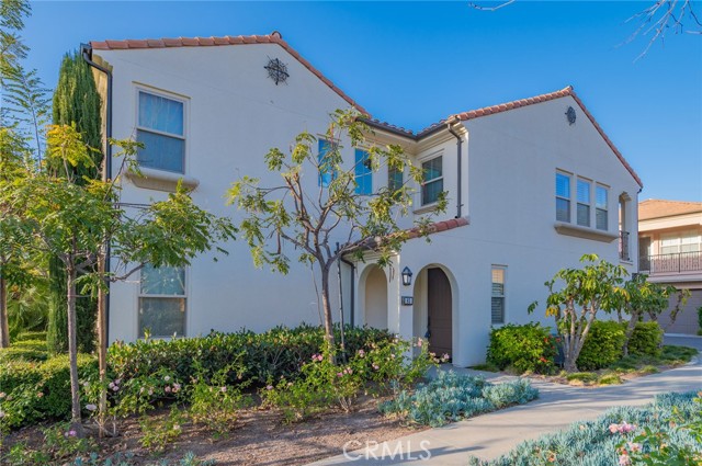 Front Image Thumbnail for CROC26006855