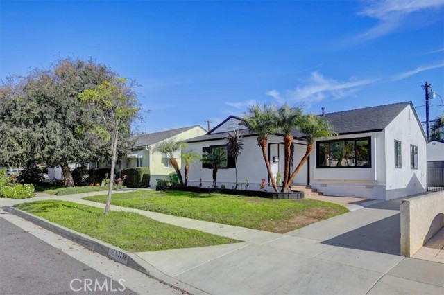 Front Image Thumbnail for CROC26063780