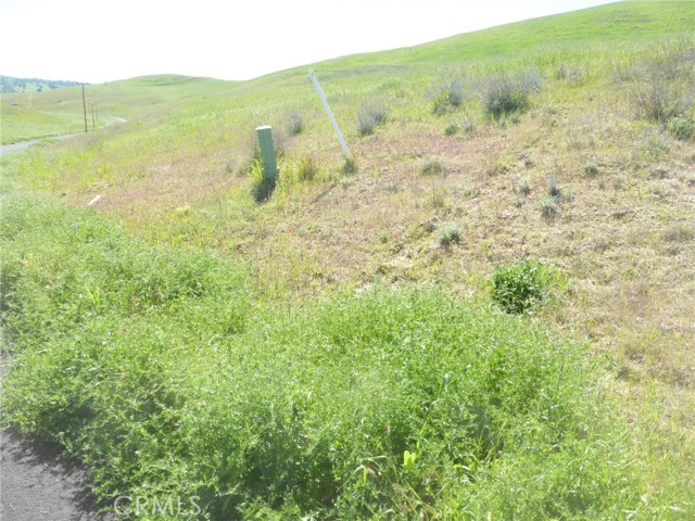 Detail Gallery Image 51 of 51 For 0 Douglas Rd. (Lot 33), San Miguel,  CA 93451 - – Beds | – Baths