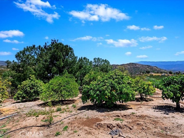 Detail Gallery Image 48 of 74 For 40410 Exa Ely Rd, Hemet,  CA 92544 - 4 Beds | 3 Baths