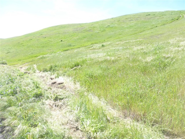 Detail Gallery Image 19 of 42 For 0 Douglas Rd. (Lot 28), San Miguel,  CA 93451 - – Beds | – Baths