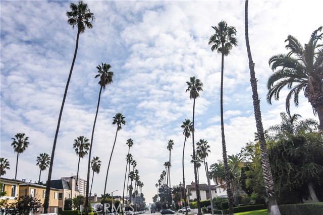 Detail Gallery Image 30 of 30 For 811 6th St #105,  Santa Monica,  CA 90403 - 3 Beds | 2 Baths