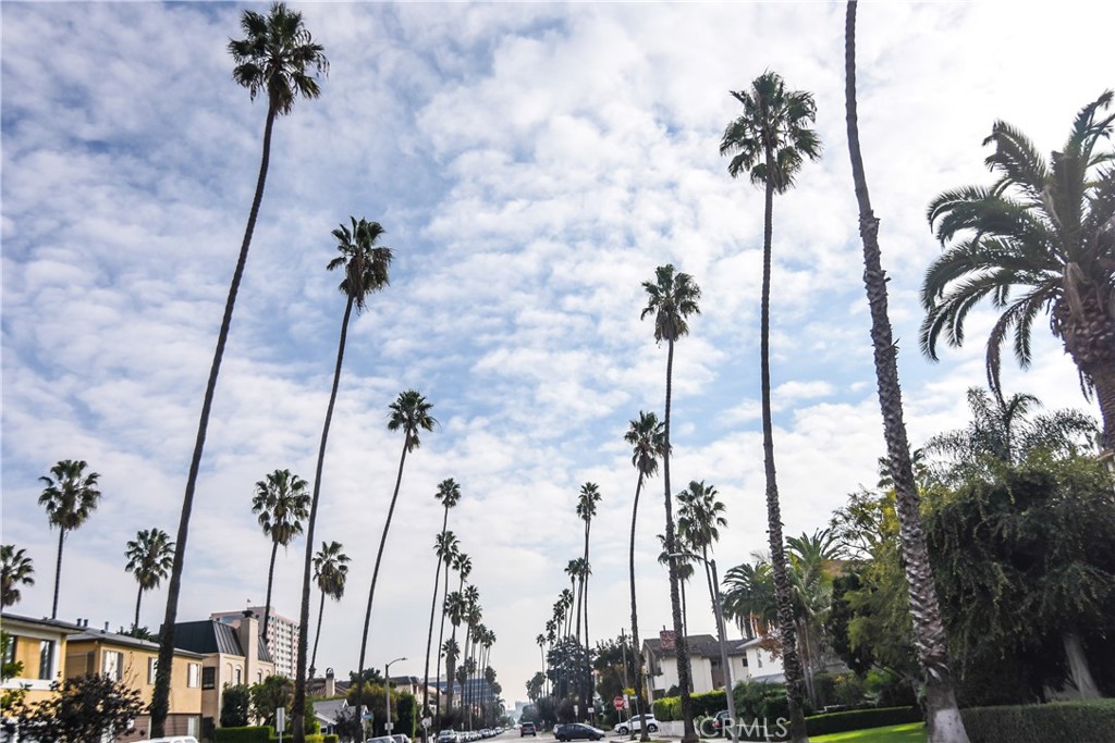 MLS #SB25270250 image #29