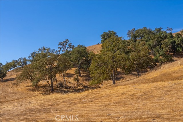 Detail Gallery Image 41 of 75 For 0 E Hwy 41, Templeton,  CA 93465 - – Beds | – Baths