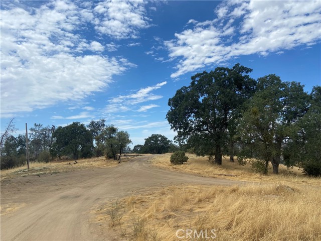 0 Hogans Mountain RD, Coarsegold, California 93614, ,Land,For Sale,0 Hogans Mountain RD,CRMP23147543