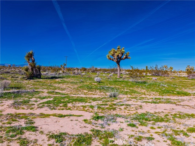 Detail Gallery Image 21 of 24 For 58919 Aberdeen, Yucca Valley,  CA 92284 - – Beds | – Baths