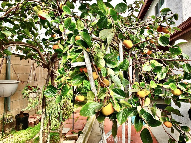 Detail Gallery Image 37 of 40 For 15121 Rancho Clemente, Paramount,  CA 90723 - 3 Beds | 2/1 Baths