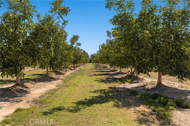 Detail Gallery Image 5 of 29 For 23375 Moon Rd, Corning,  CA 96021 - 4 Beds | 2 Baths